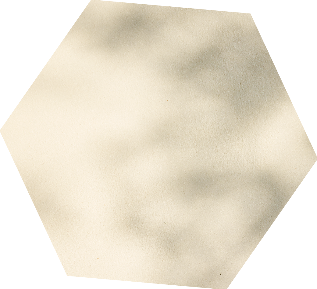画像の説明が入ります