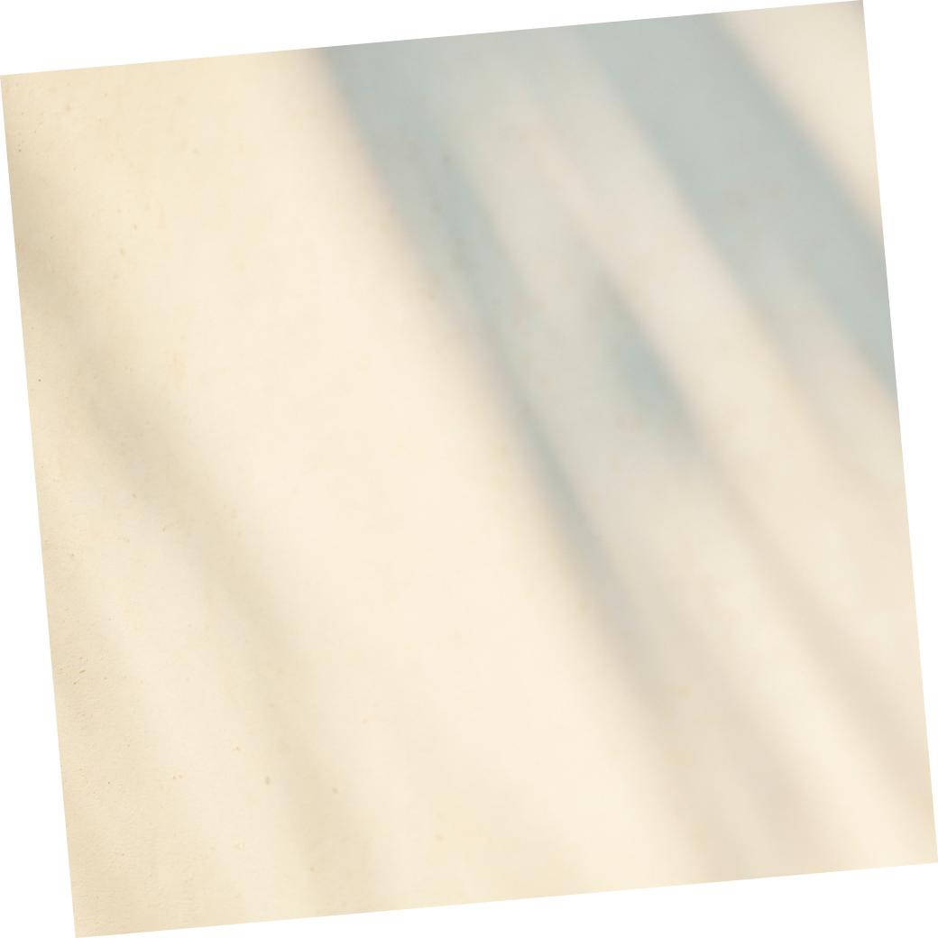画像の説明が入ります