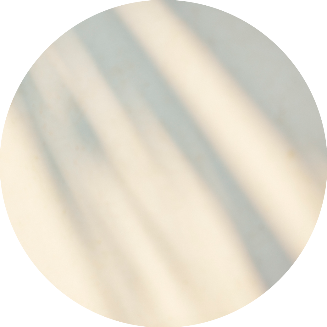 画像の説明が入ります