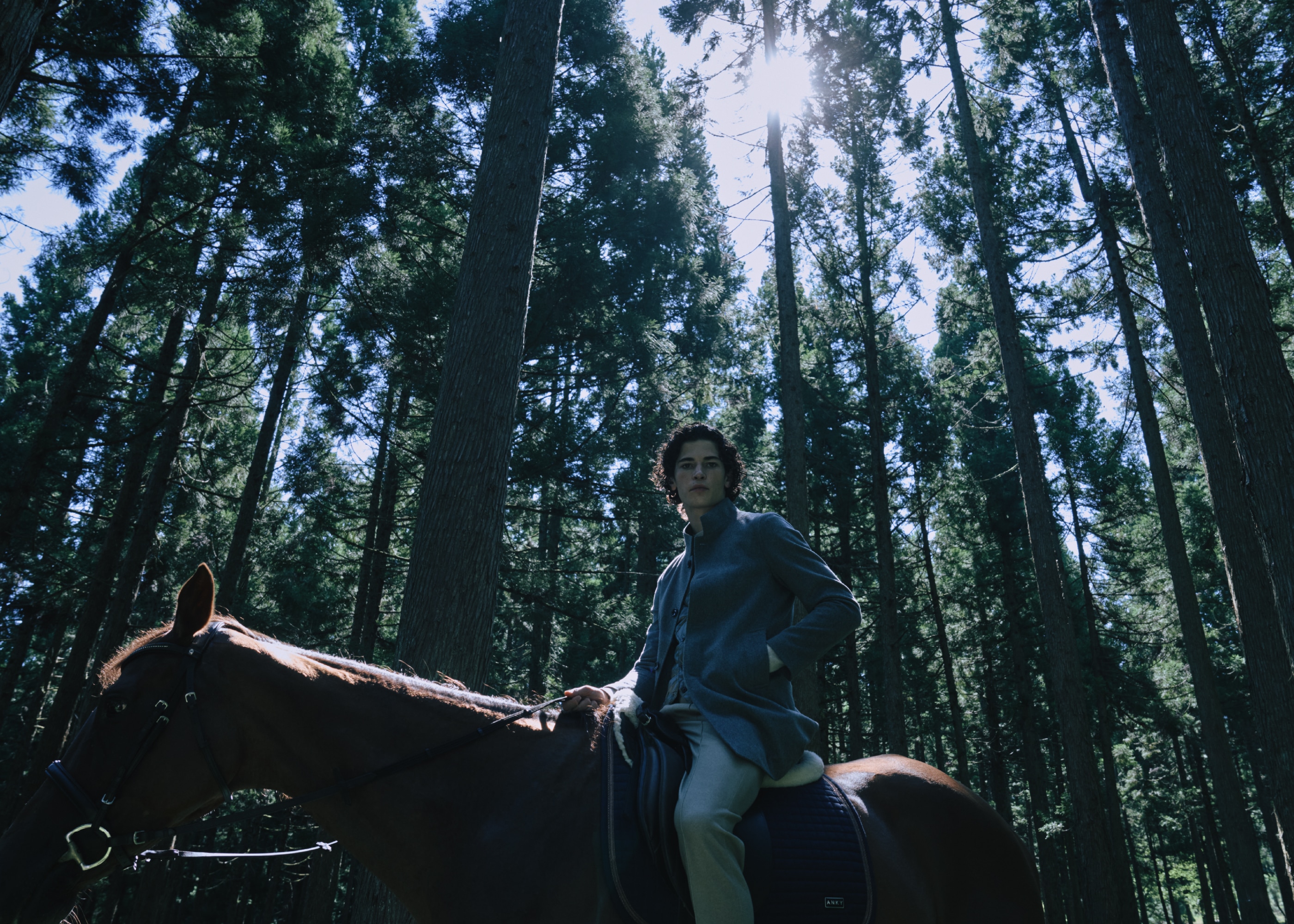 森の中でスタンドコートを着て馬にまたがる男性のメインビジュアル