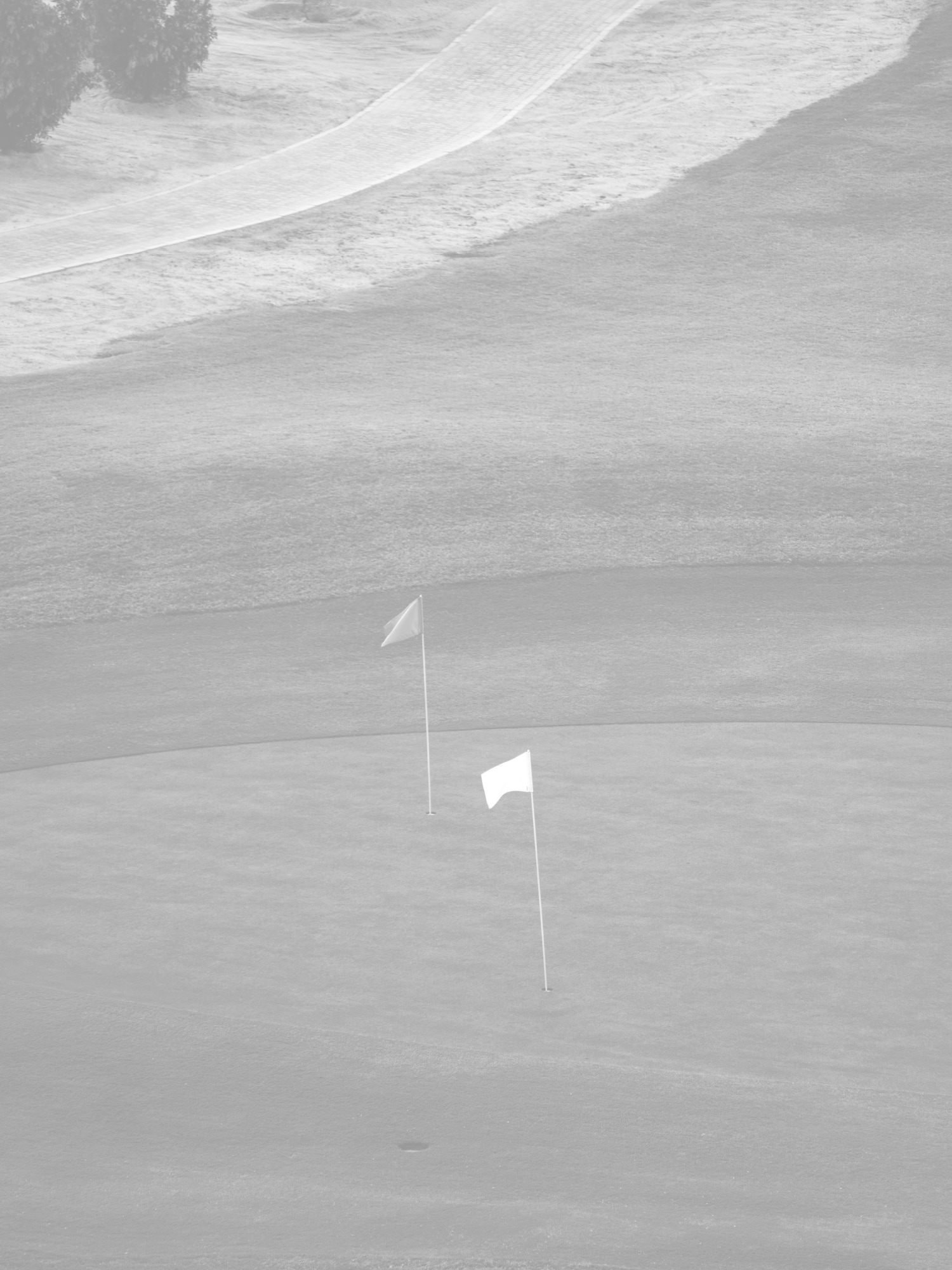 ゴルフ場とゴルフボールのイメージ画像